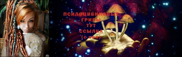 ешки Беломорск